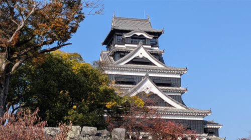 熊本で長年の実績